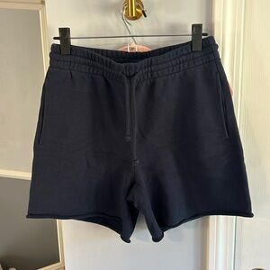 Aritzia TNA sweat shorts